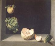 Fruit Still Life (mk14)